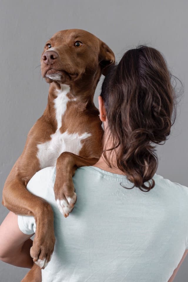 Cuidadora segurando um cachorro em creche pet