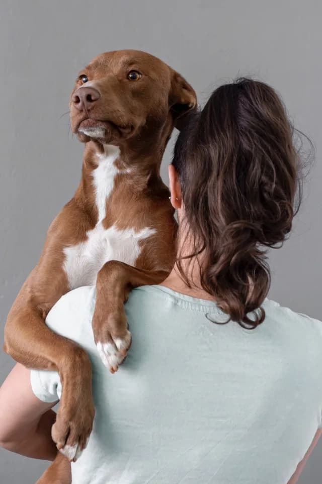 Cuidadora segurando um cachorro em creche pet